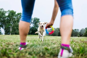 istockphoto 968979766 612x612 copy